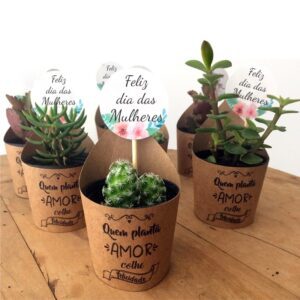 32049-Mini Vaso de Suculenta Personalizado