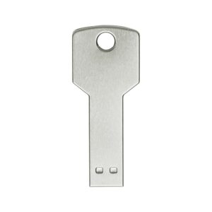 45004-Pen Drive Chave 4GB