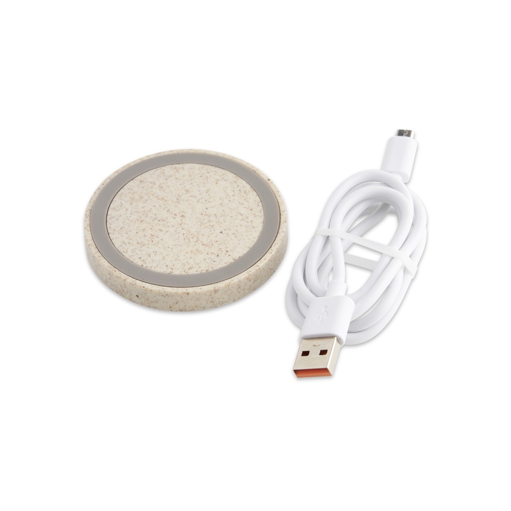 46077-Carregador via Indução