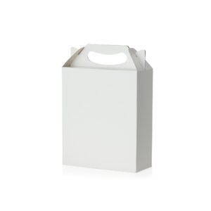 59565-Embalagem Maleta P